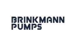 Brinkmann pumps